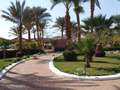  Sharm el Sheikh - Photo Nr: 1054